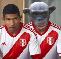 Avatar de Usuario