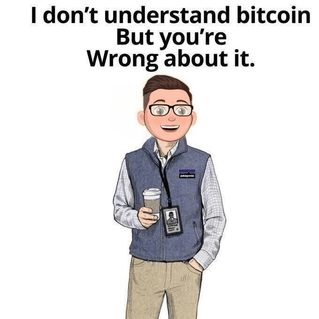 every-bitcoin-critic-v0-hrh24rsc7rof1.png